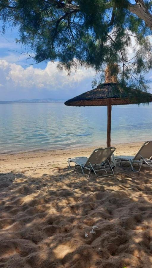 شقة Sun Sea No 3 Peraía المظهر الخارجي الصورة